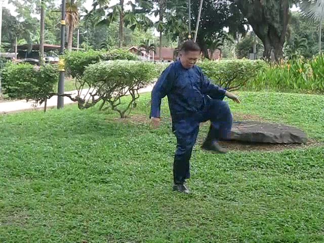 Wu Yu Xiang Style Taijiquan